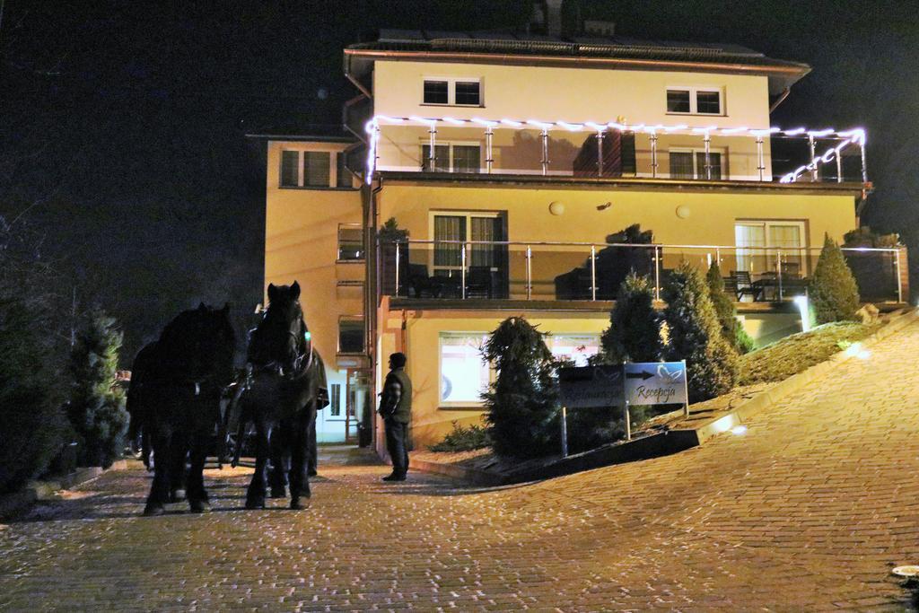 ホテルWilla Pod Skrzydlami Międzybrodzie Bialskie エクステリア 写真